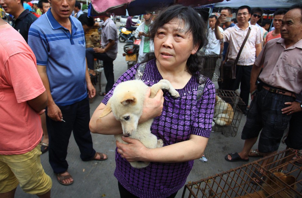 Festival della carne di cane di Yulin