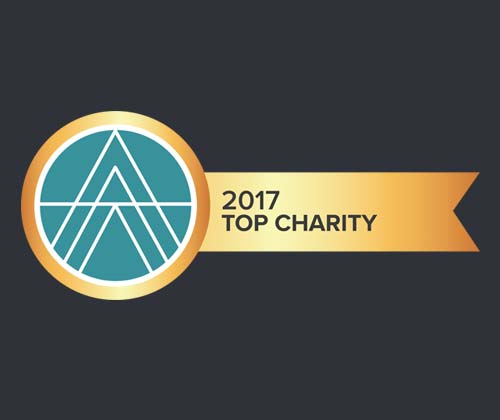 timeline_2017_top_charity_ace_badge