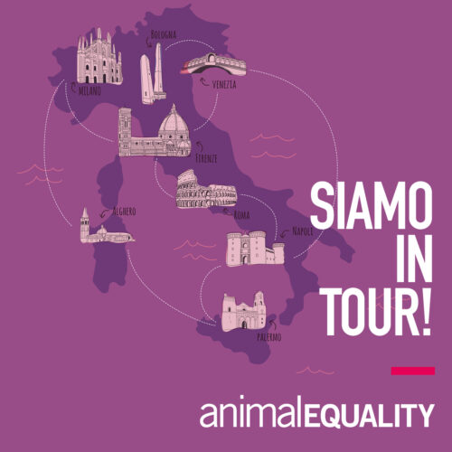logo Animal Equality