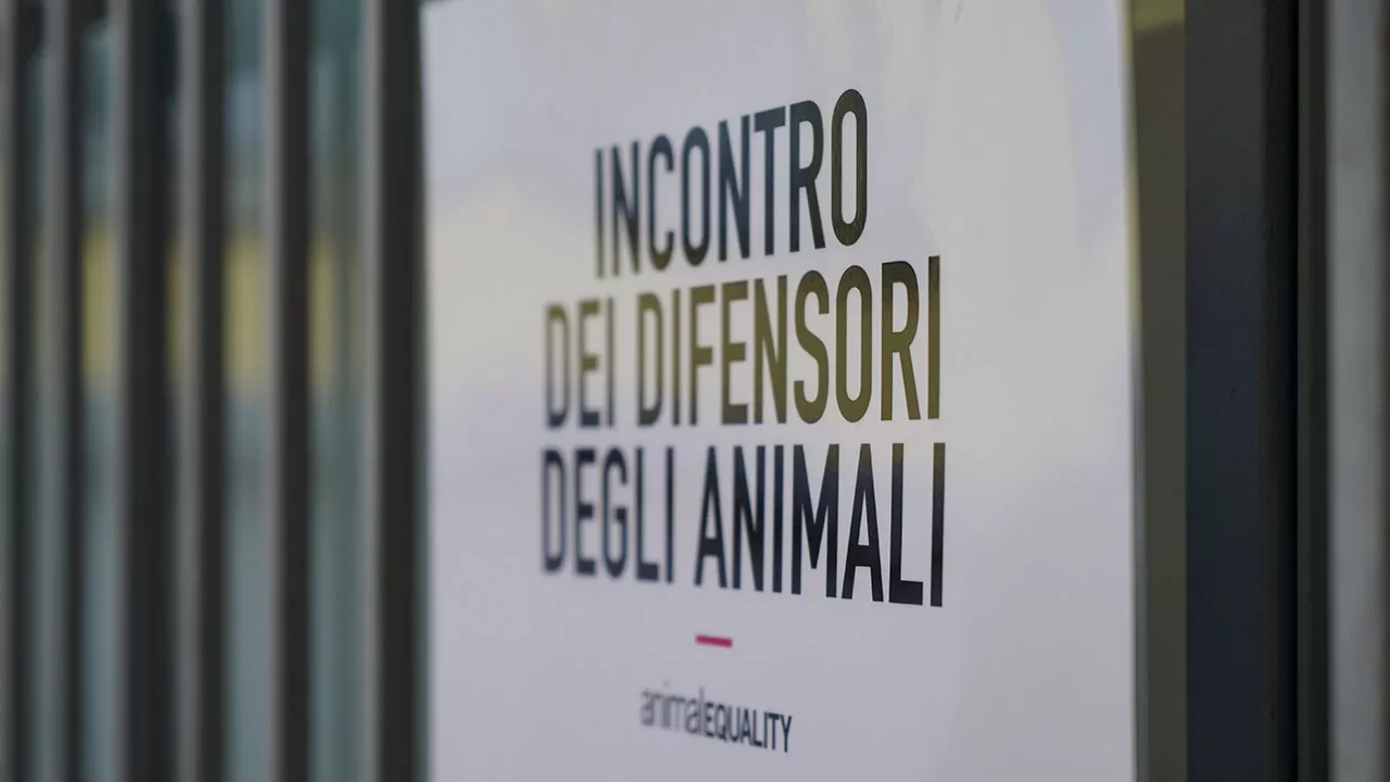 Difendere Animali Milano