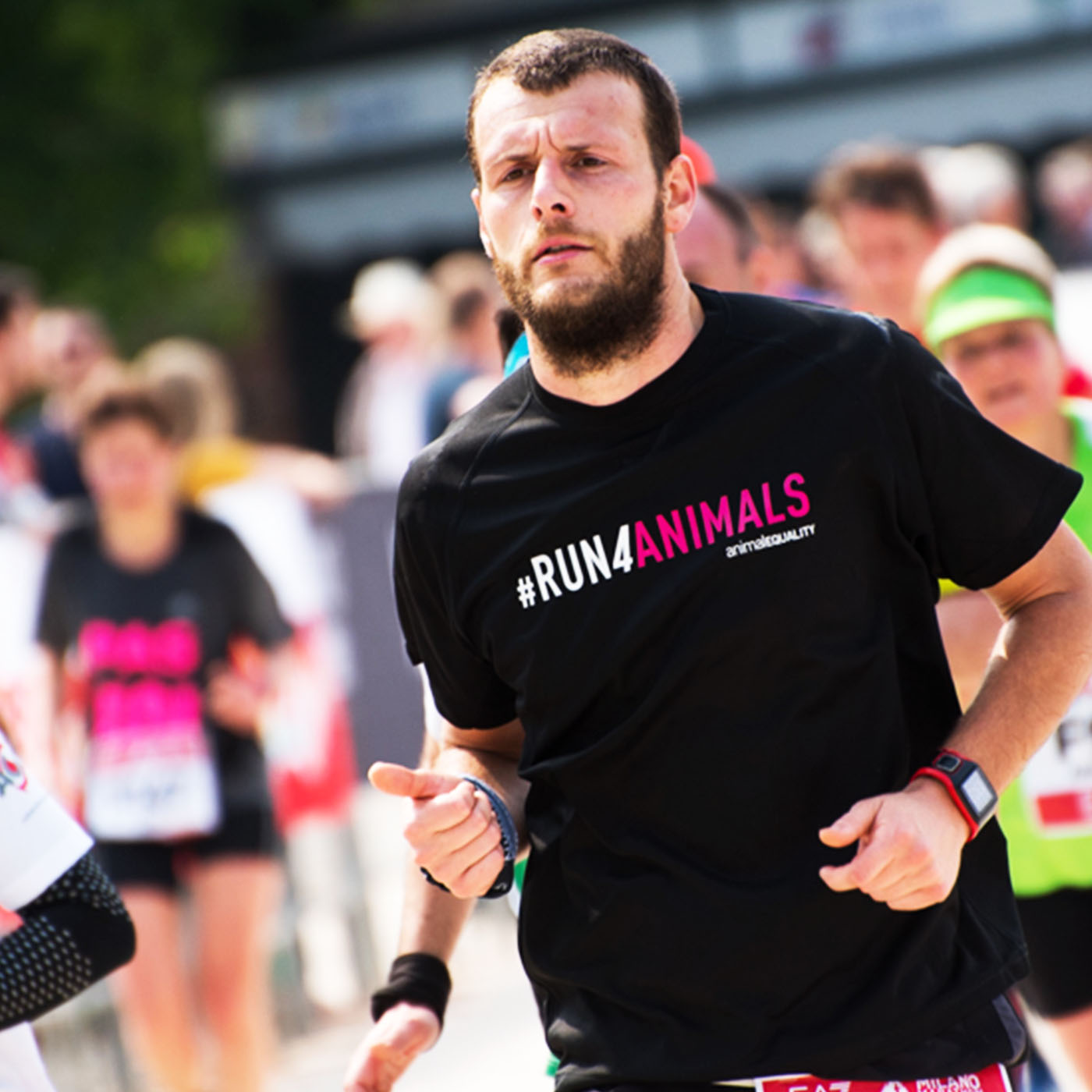 Milano Marathon corri animali