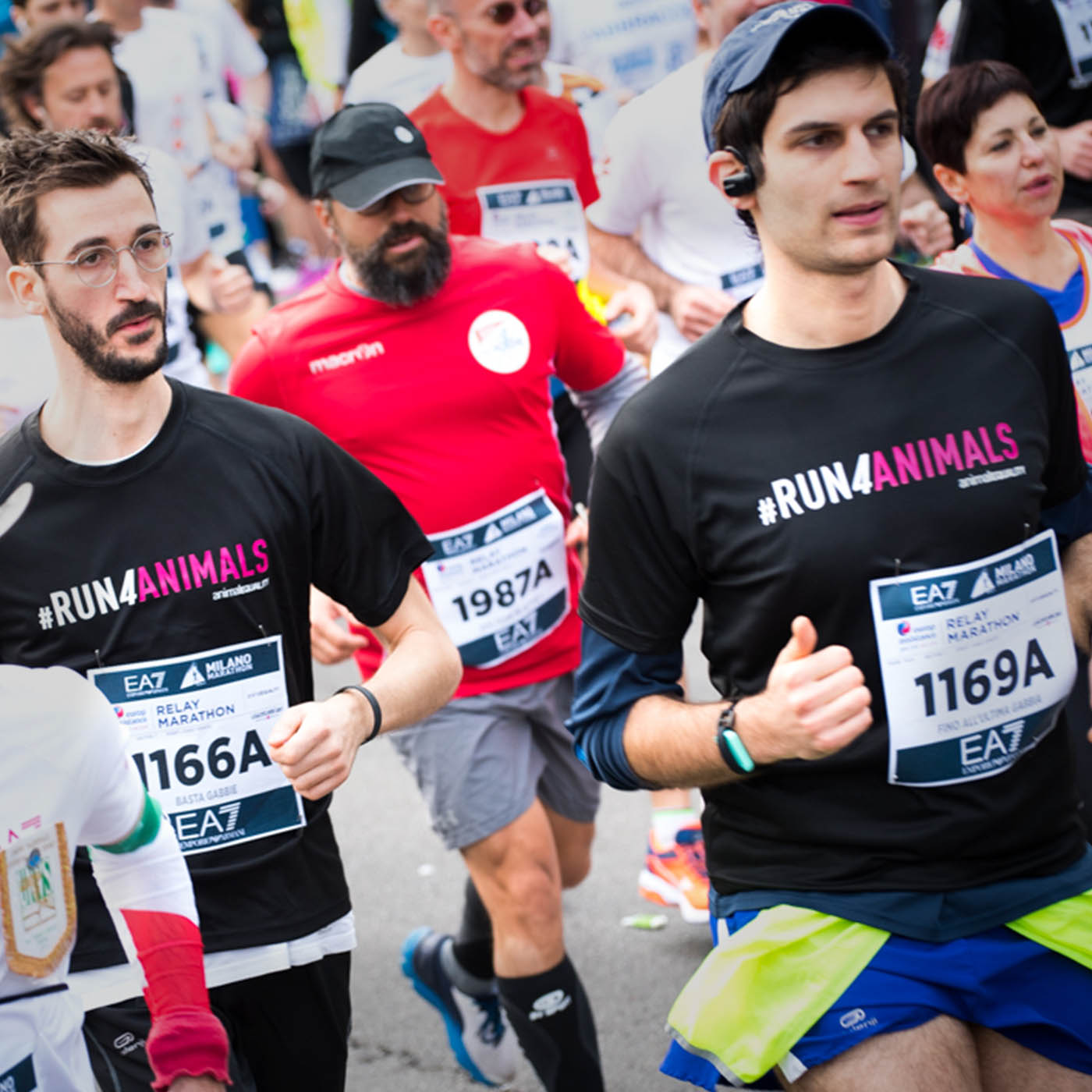 Milano Marathon Animal Equality