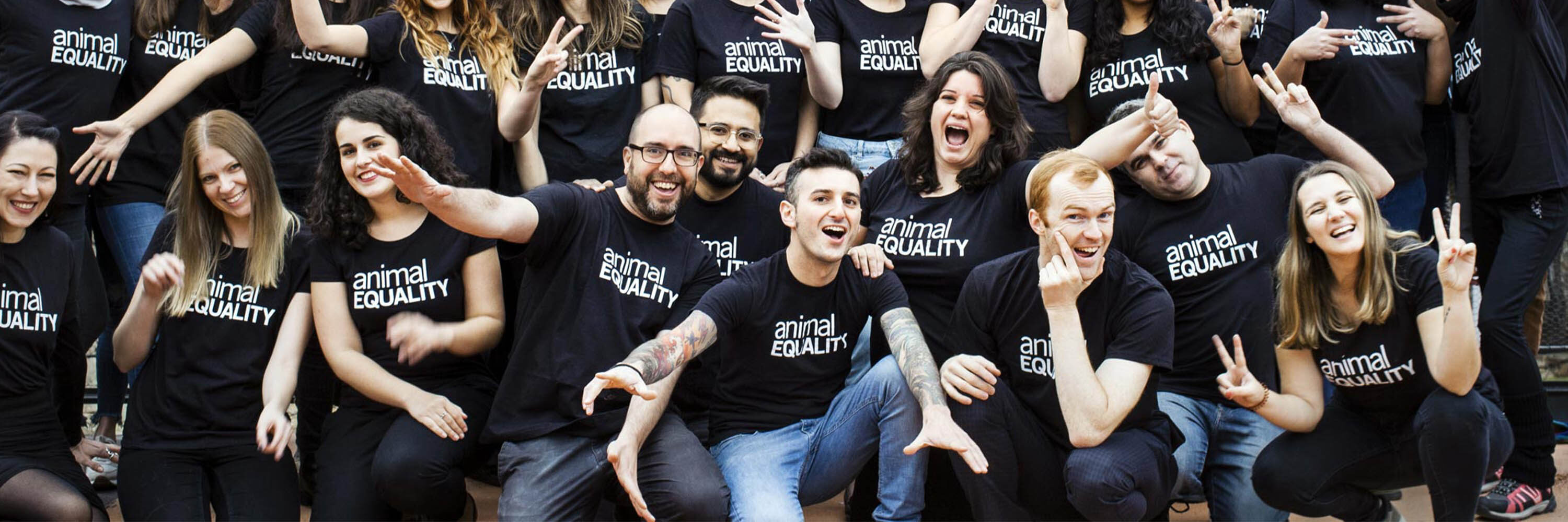 team animal equality