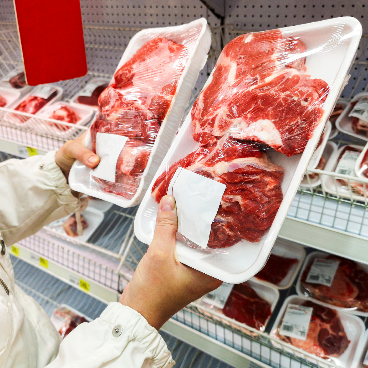 carne etichetta cancro europa