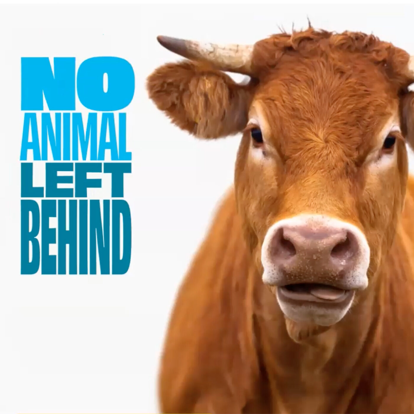 No animal left behind Europa