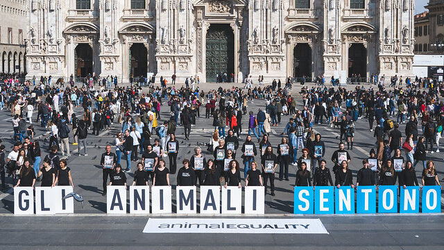 attivisti animali piazza Duomo