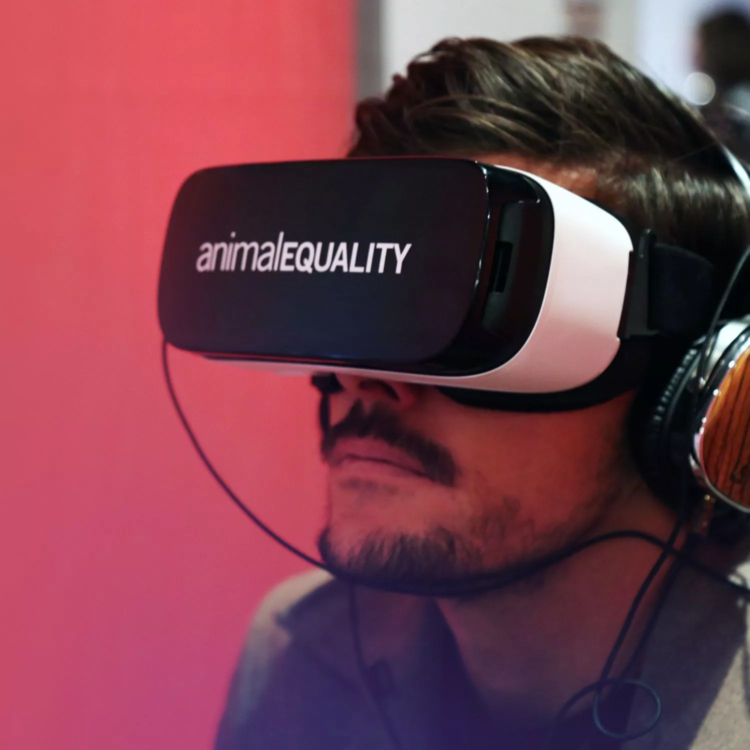 iAnimal realtà virtuale animali