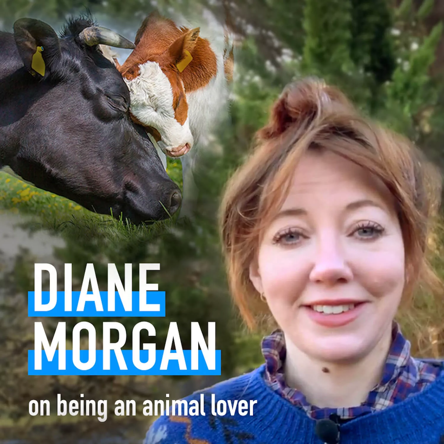 Diane Morgan