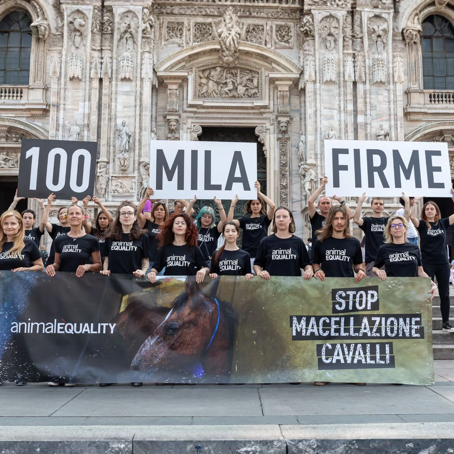 Fermiamo la macellazione dei cavalli in Italia 10 100.000 firme cavalli duomo