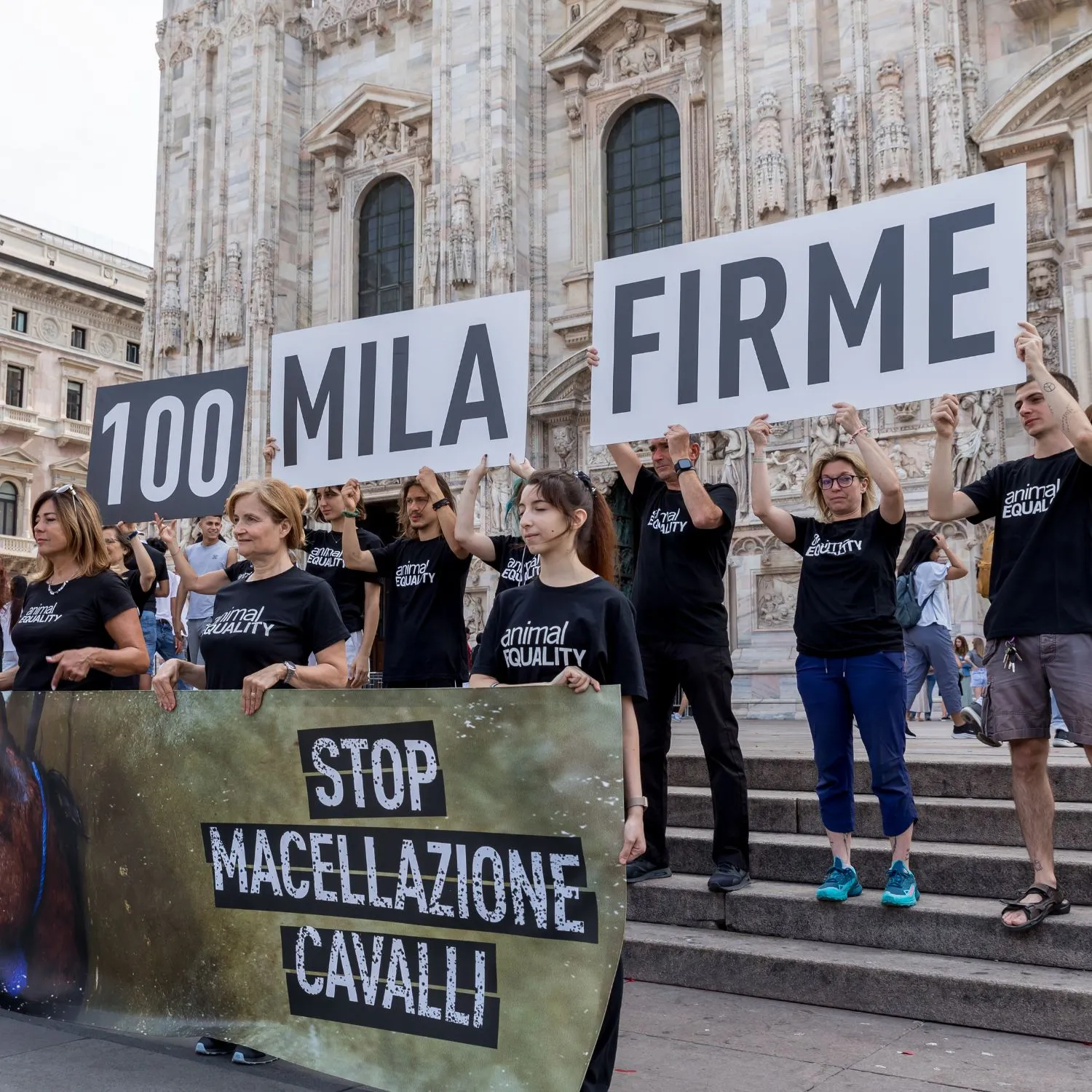 Fermiamo la macellazione dei cavalli in Italia 11 100.000 firme cavalli duomo