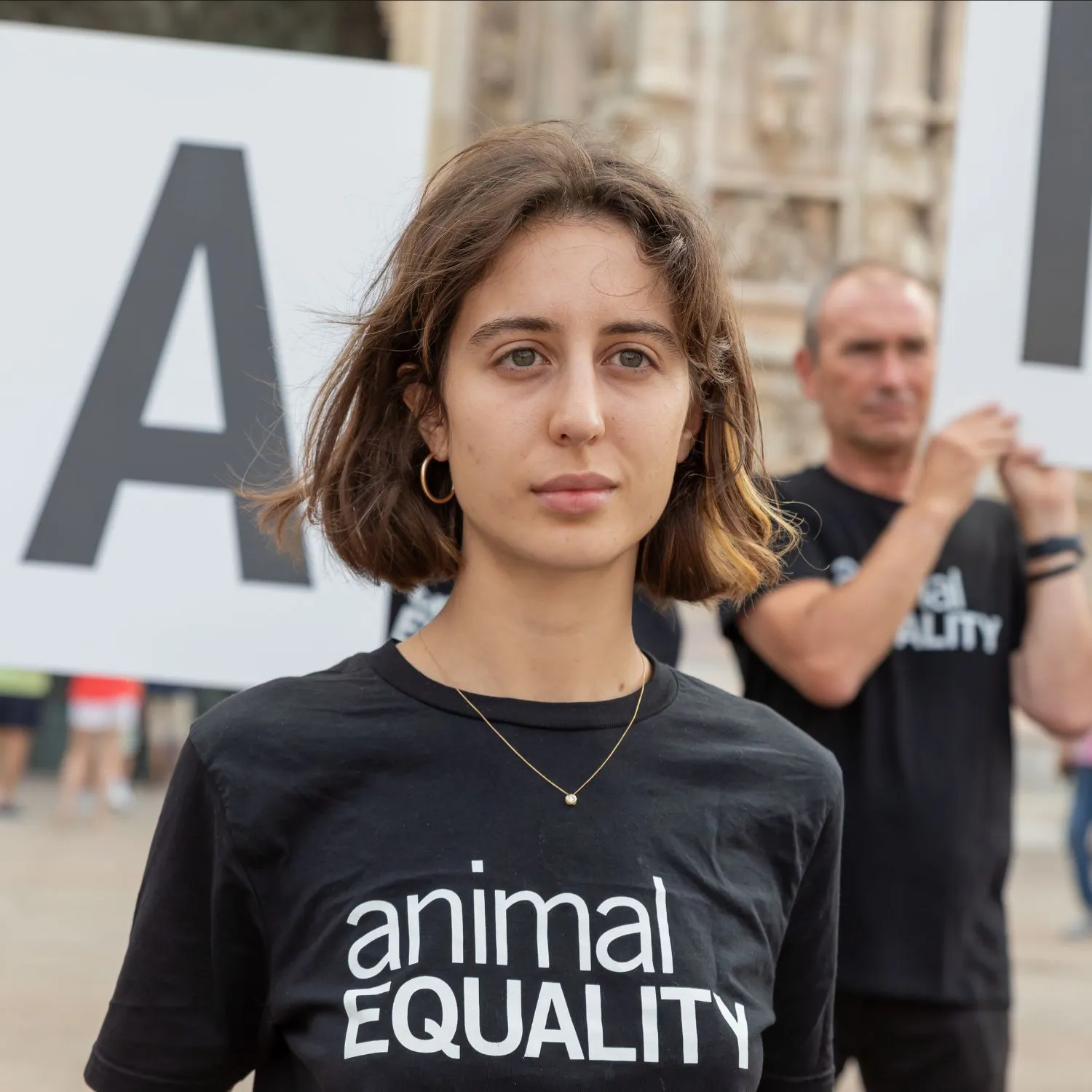 Fermiamo la macellazione dei cavalli in Italia 12 100.000 firme cavalli duomo