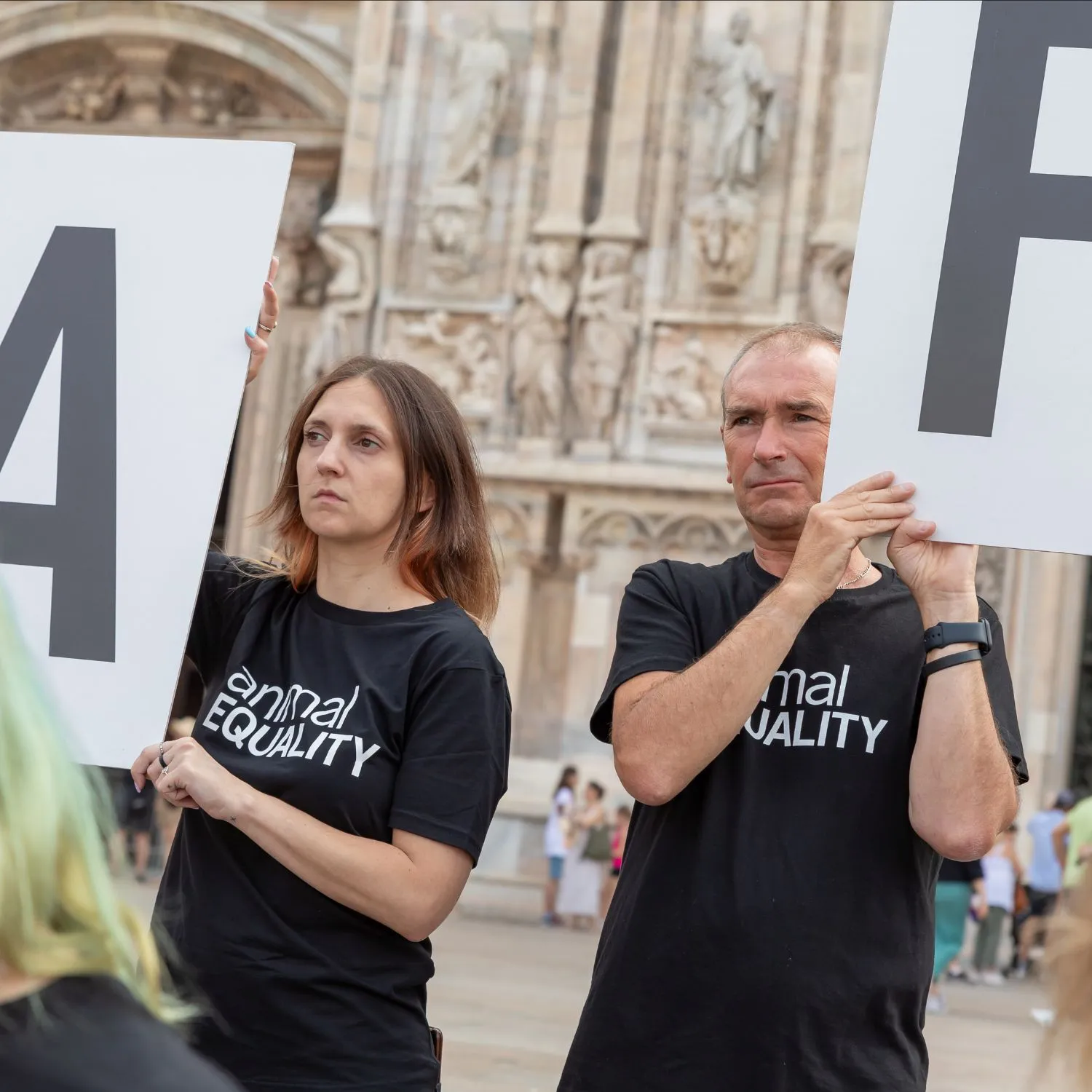 Fermiamo la macellazione dei cavalli in Italia 13 100.000 firme cavalli duomo