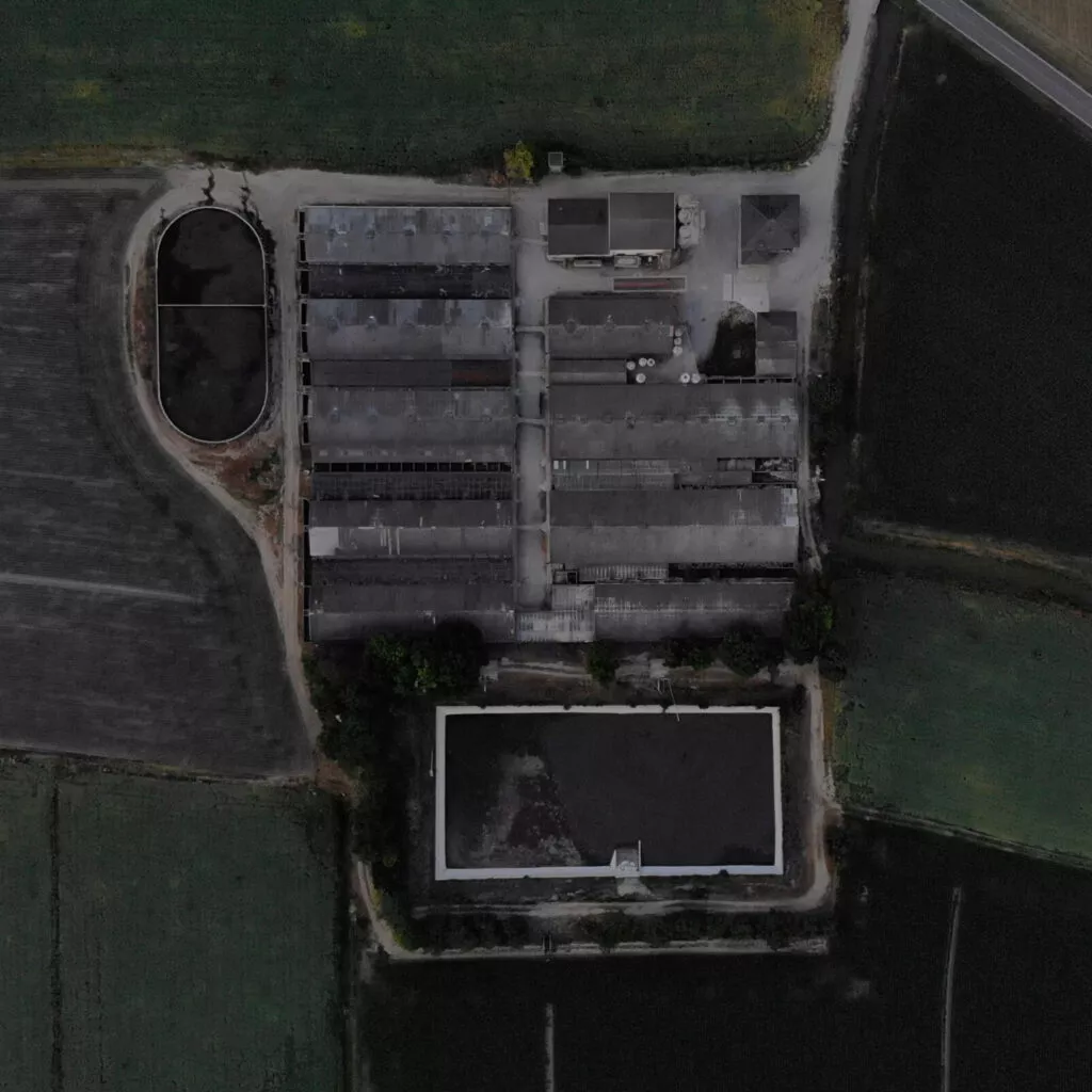 Come inquinano gli allevamenti intensivi