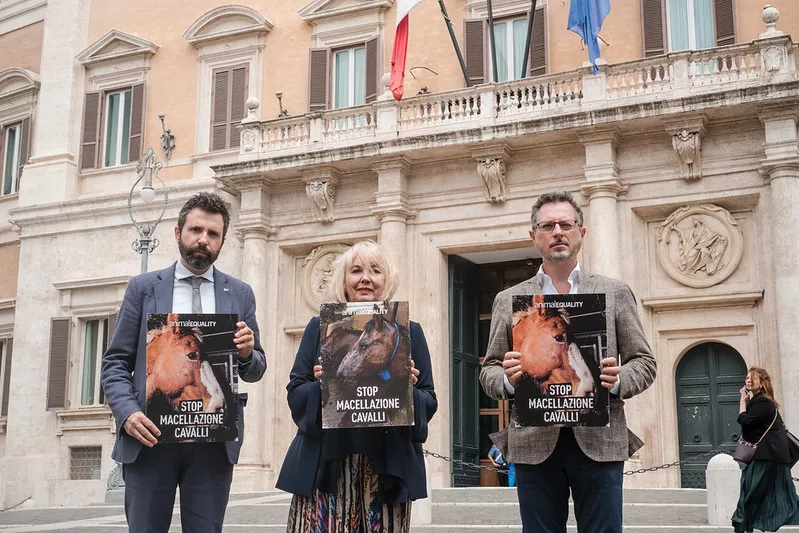 Manifestazione davanti parlamento macelli cavalli