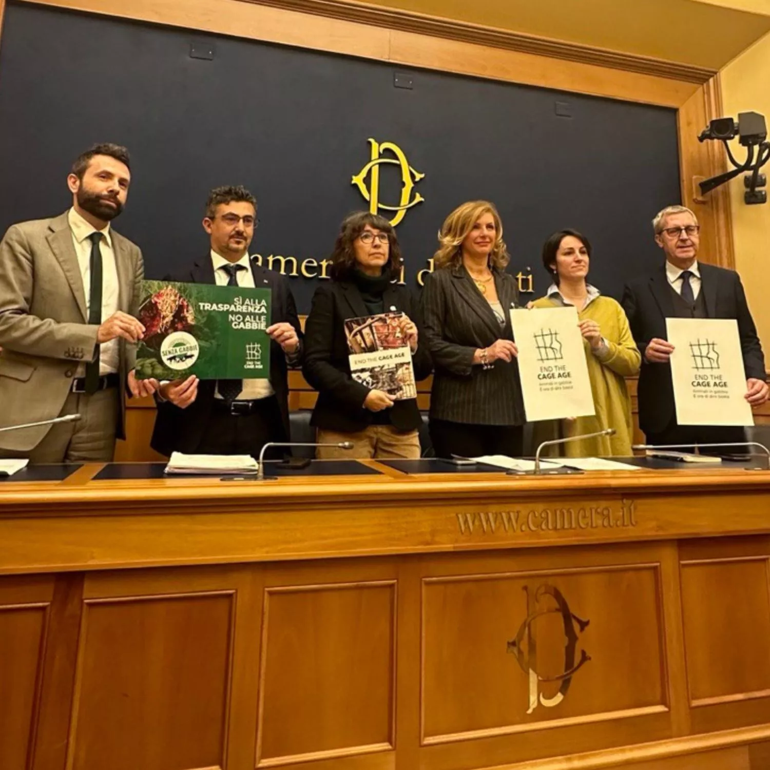 Le Associazioni chiedono un’etichetta “cage-free”: sì alla trasparenza, fondamentale per animali, consumatori e settore produttivo