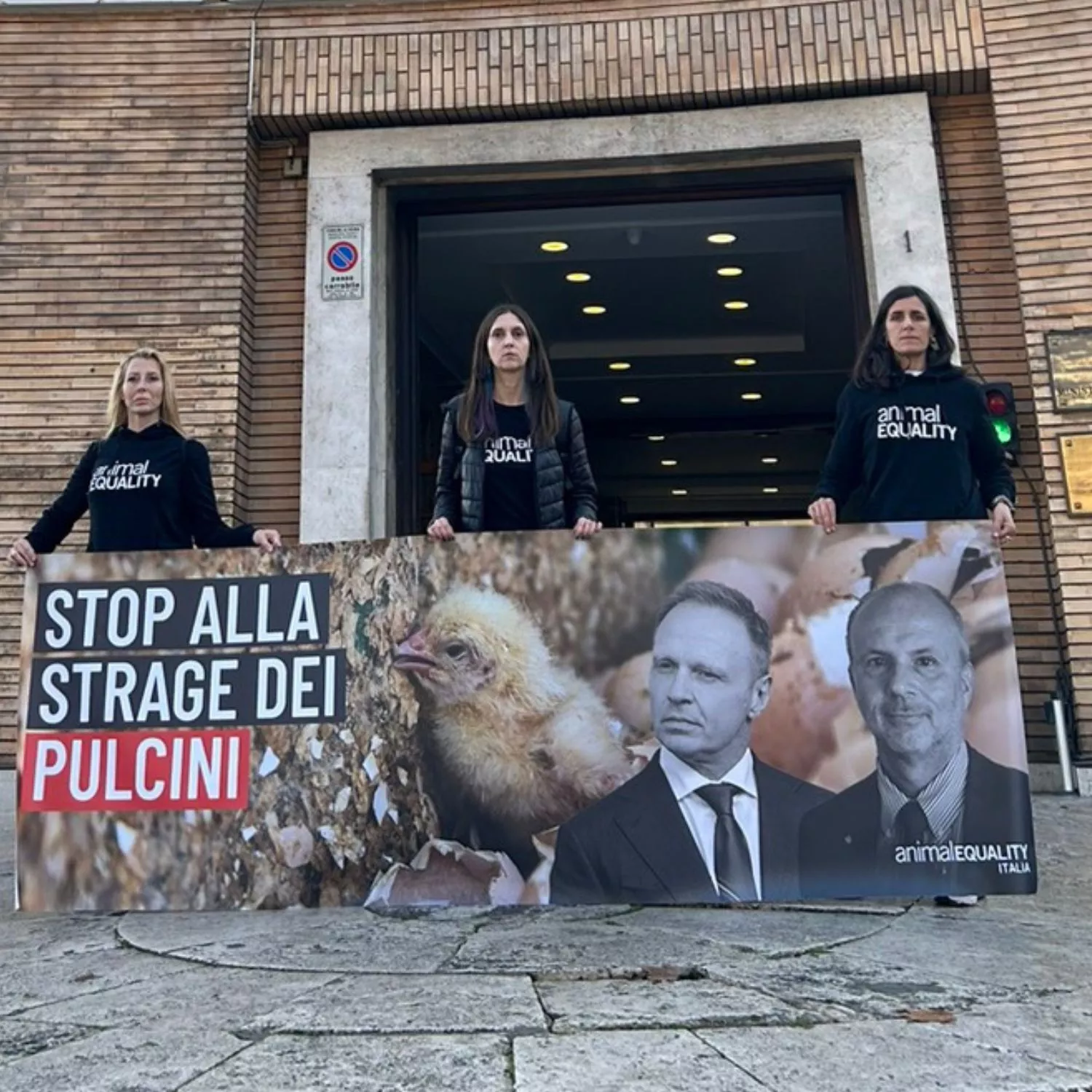 Stop strage pulcini maschi: i nostri flash mob a Roma davanti ai Ministeri