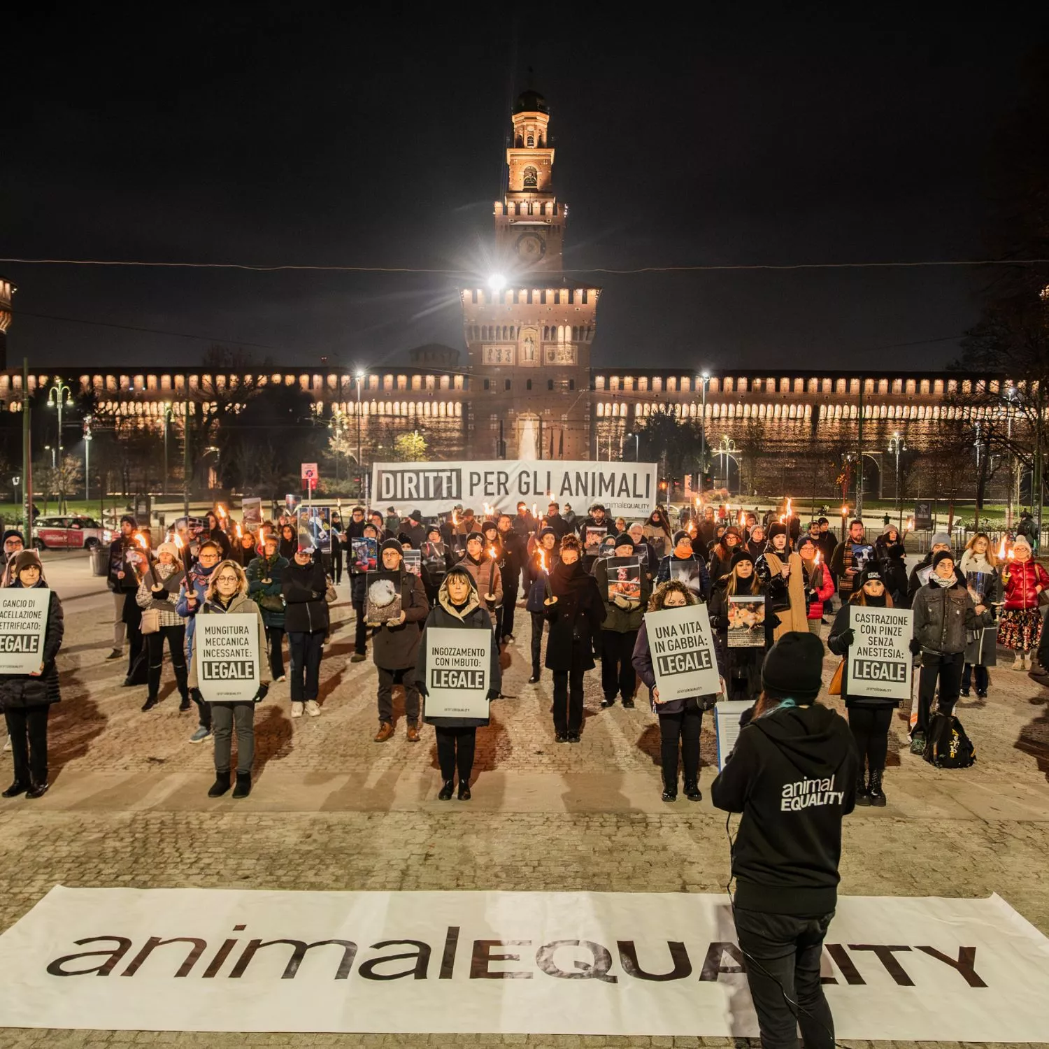 Giornata Internazionale dei Diritti degli Animali: la commemorazione di Animal Equality a Milano