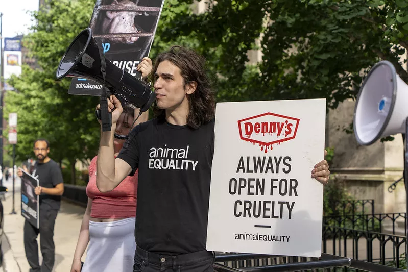 animal equality dennys america