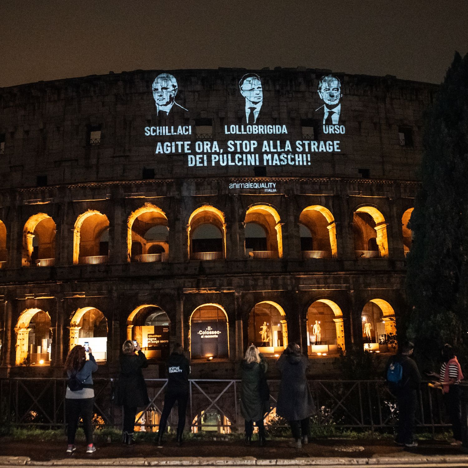 Stop strage dei pulcini maschi: il nostro appello sul Colosseo