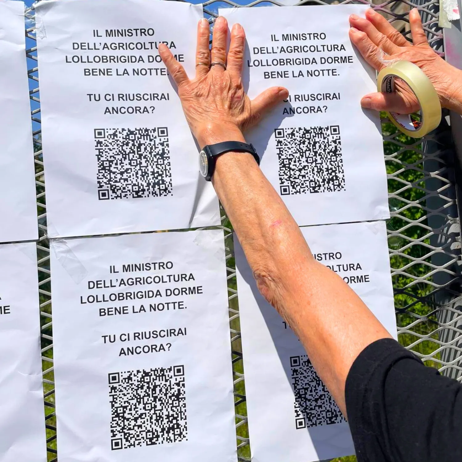 L’appello dei cittadini per salvare i pulcini invade Roma e Milano