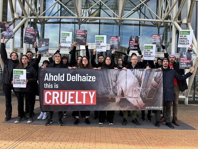 protesta ahold delhaize