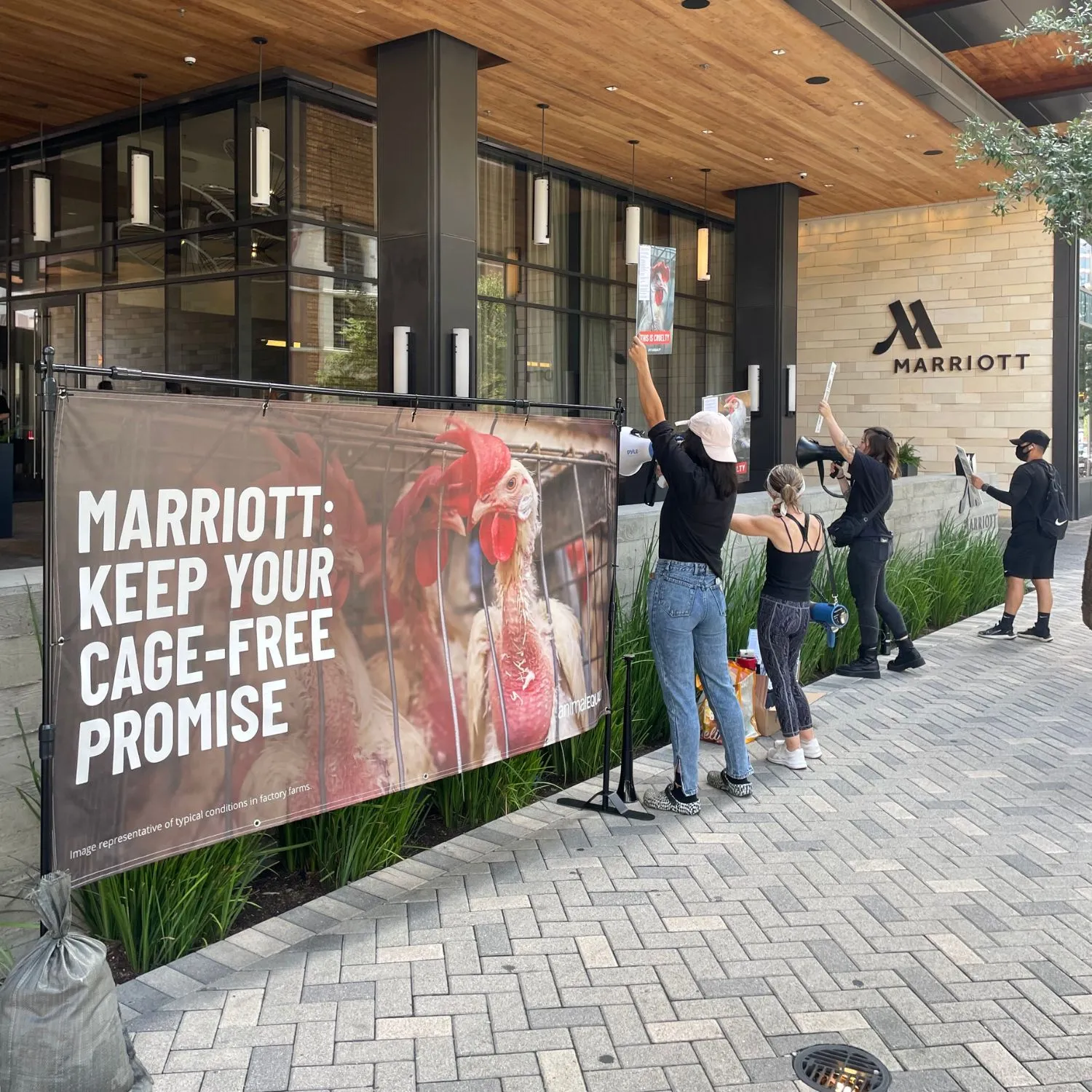 proteste marriott