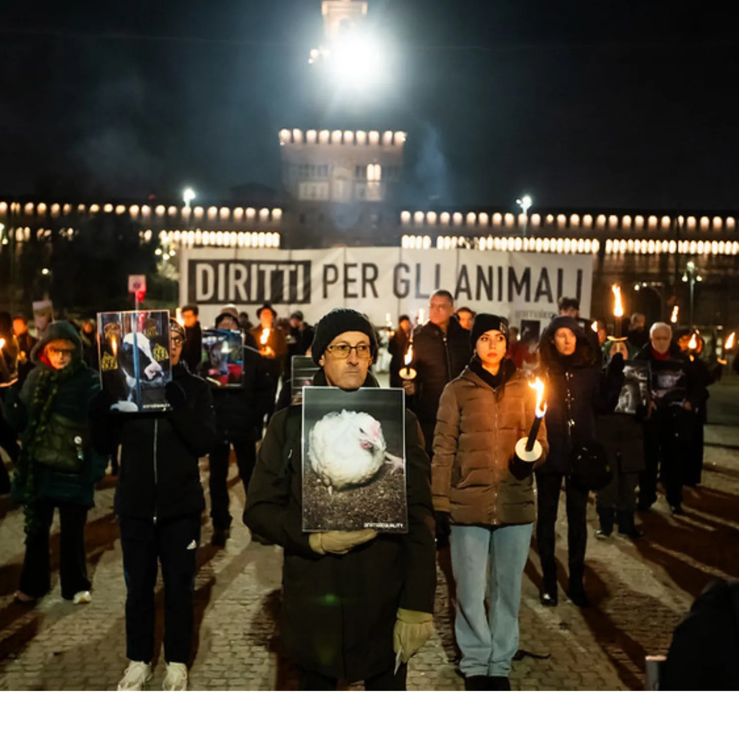Giornata Internazionale dei Diritti degli Animali: il 6 dicembre l’evento a Milano di Animal Equality insieme alla rete dei Santuari