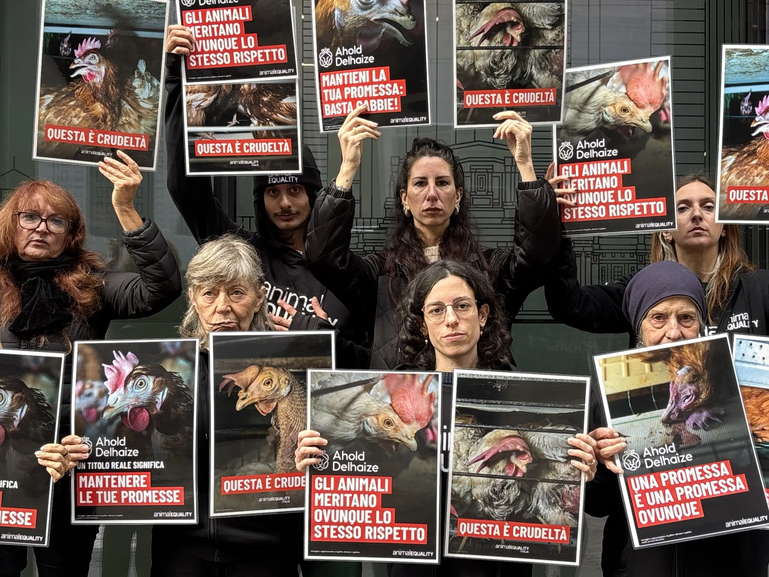 No alle gabbie: continua la campagna rivolta ad Ahold Delhaize 7