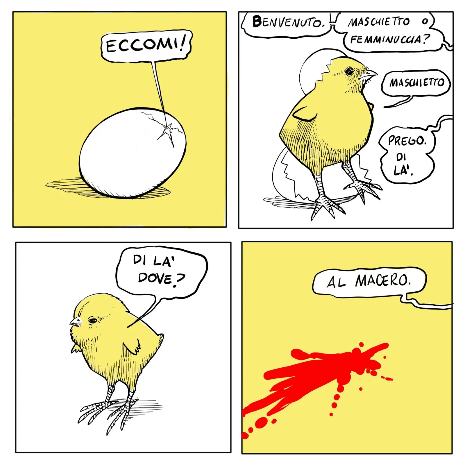 I disegni di Davide Toffolo raccontano la strage dei pulcini maschi 7