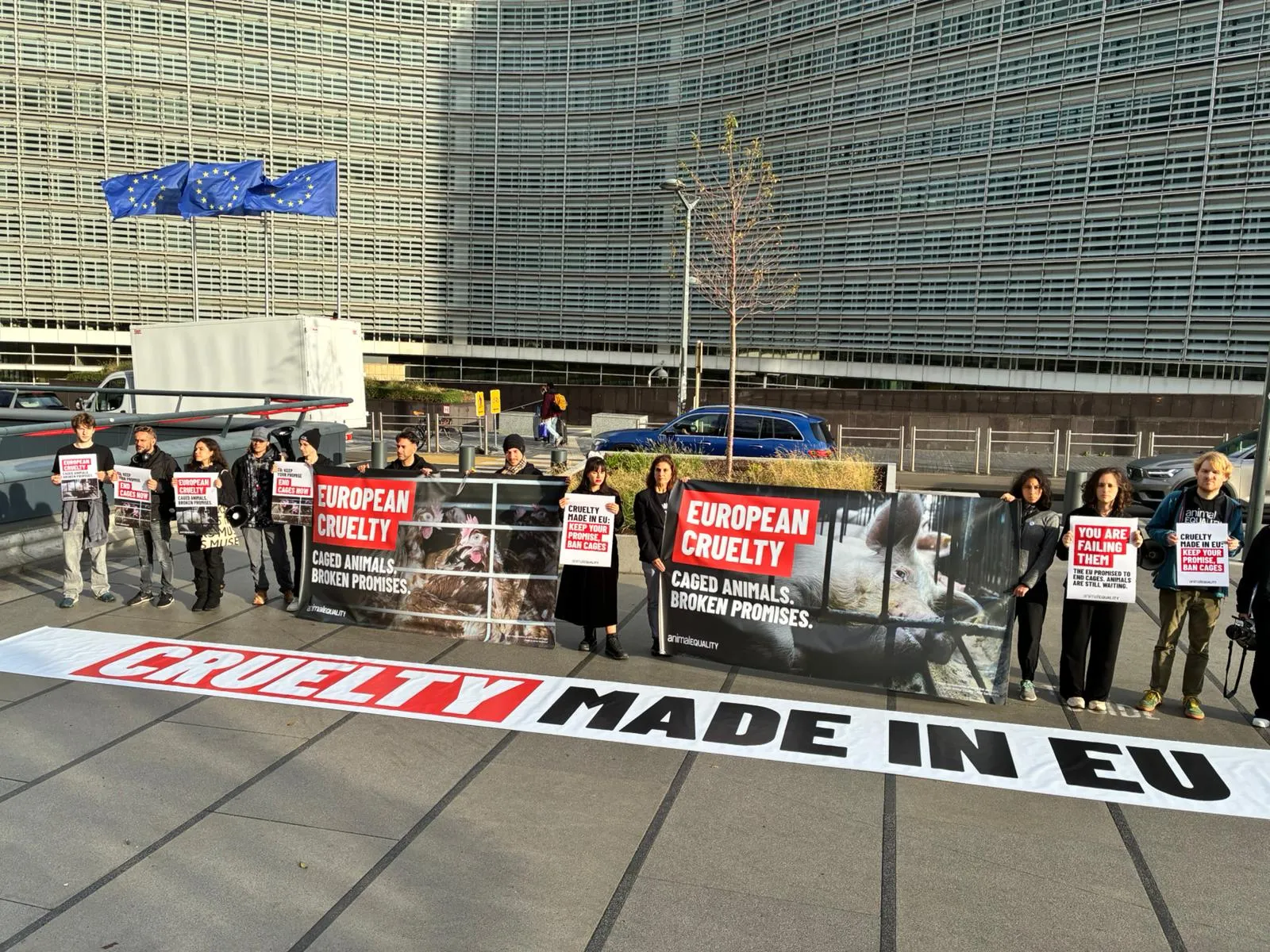La Commissione Europea volta le spalle agli animali 6