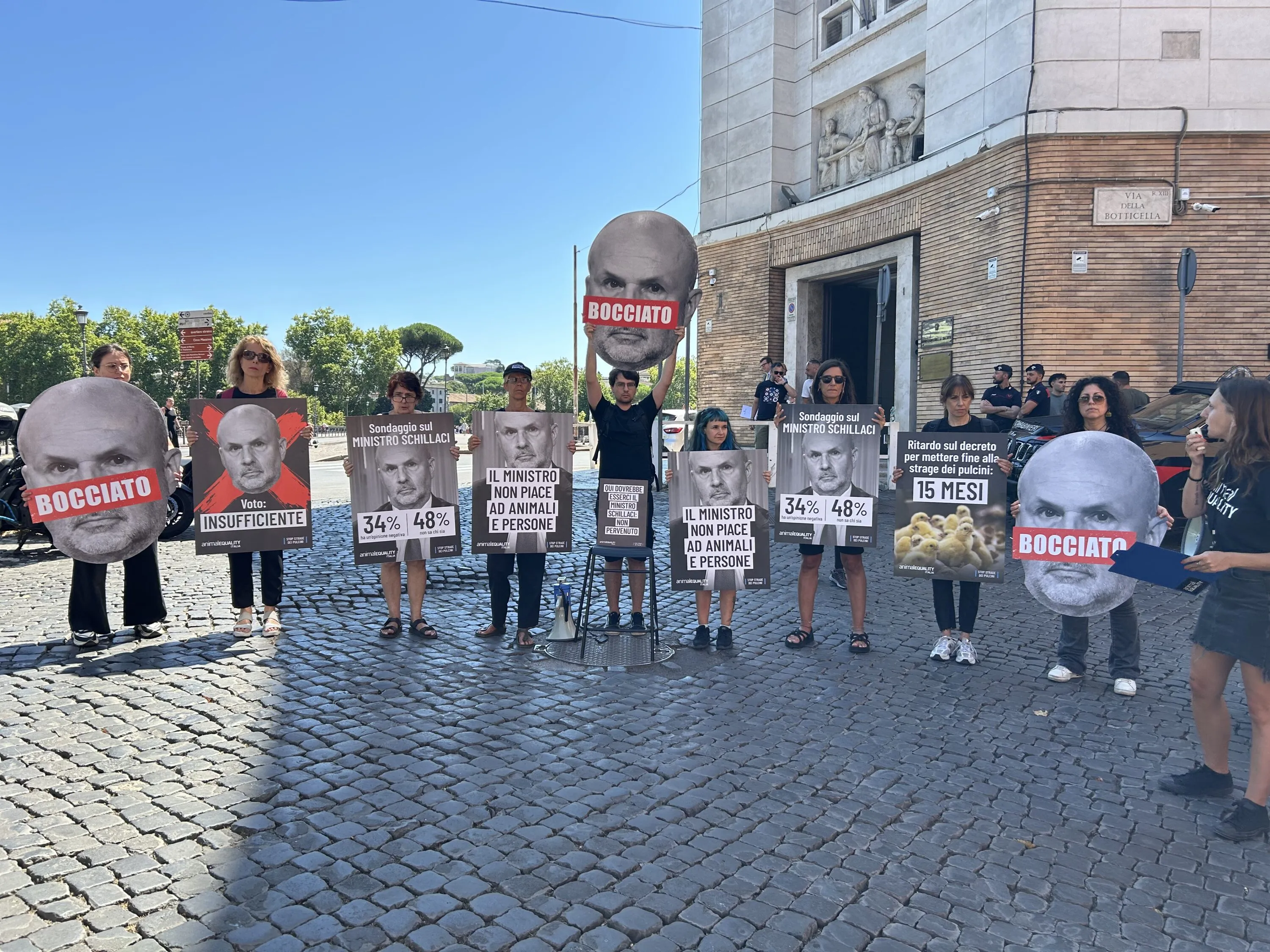 Pubblicate le linee guida per fermare l’uccisione dei pulcini maschi 20