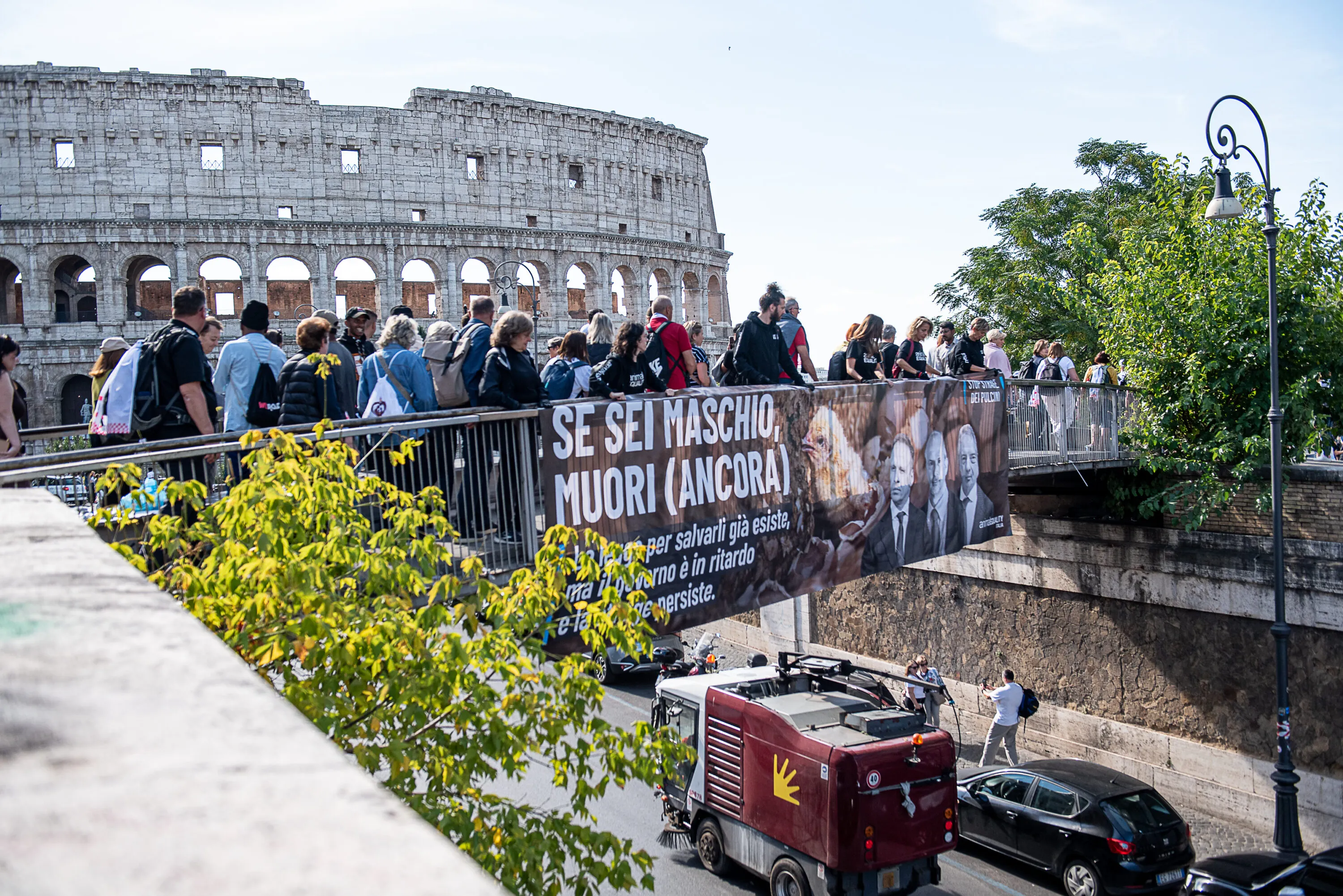 Pubblicate le linee guida per fermare l’uccisione dei pulcini maschi 21