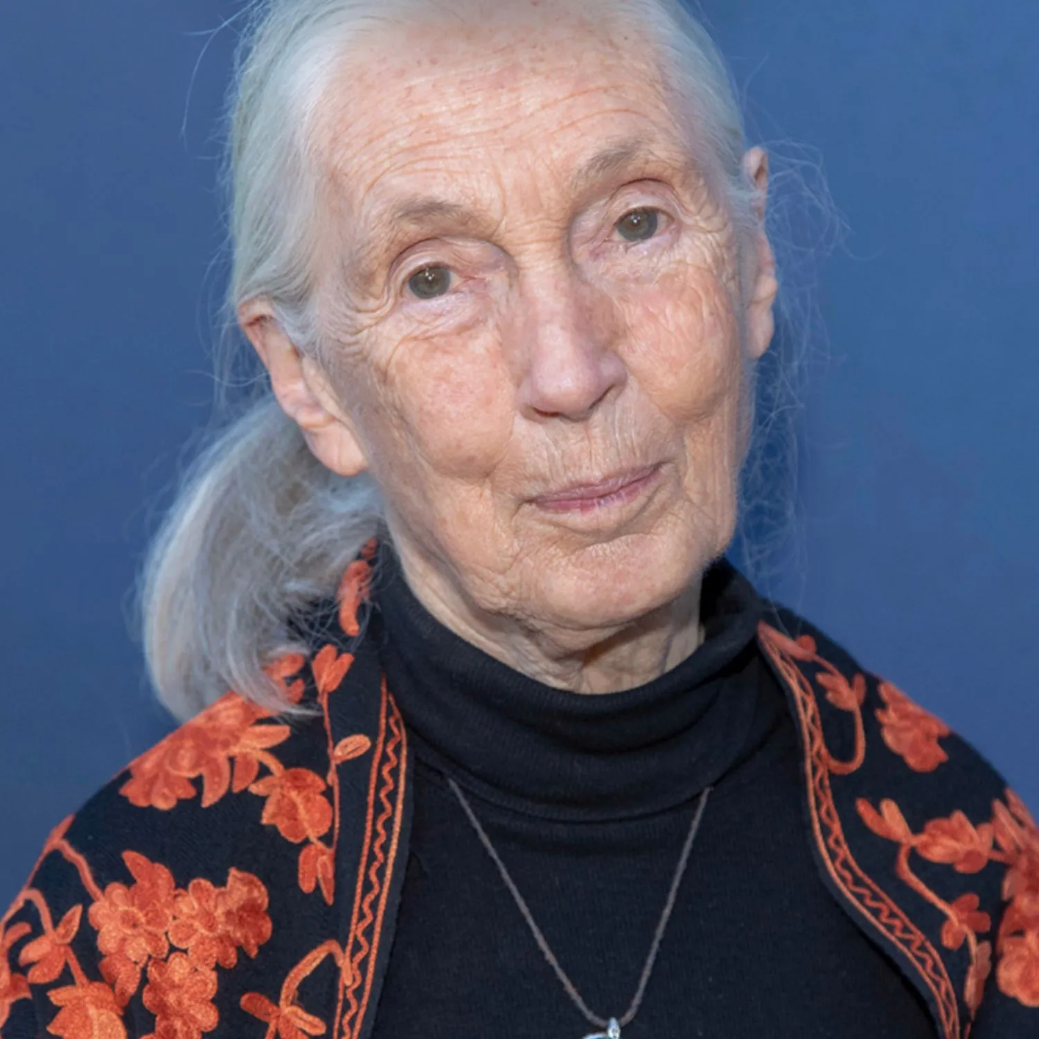 L’impegno di Jane Goodall per tutti gli animali