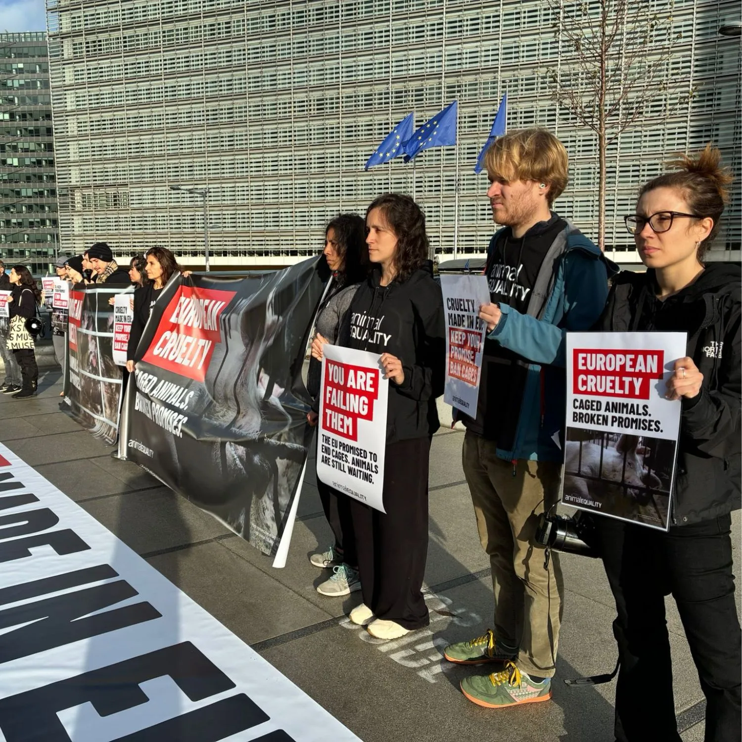La Commissione Europea volta le spalle agli animali