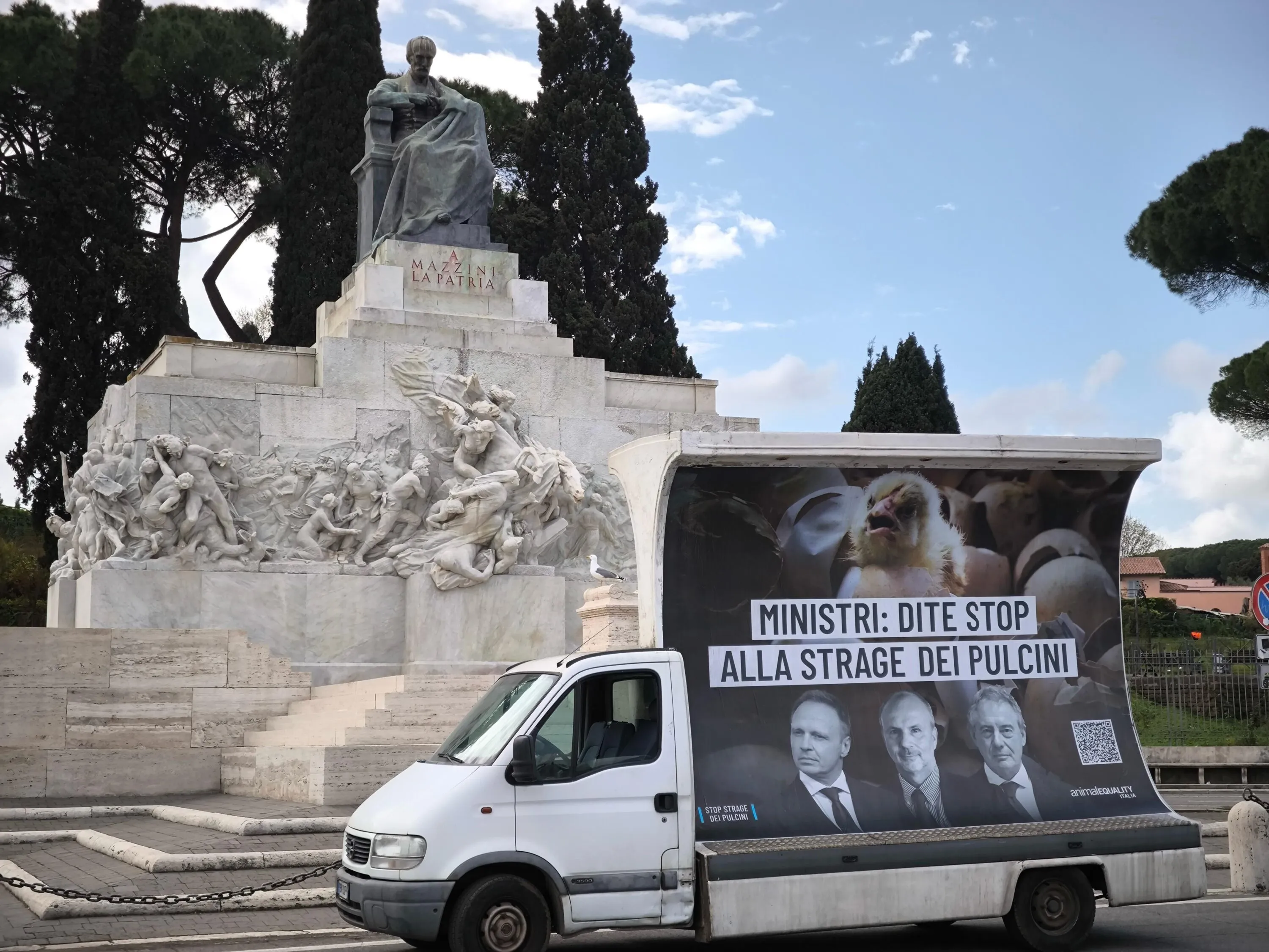 Pubblicate le linee guida per fermare l’uccisione dei pulcini maschi 12