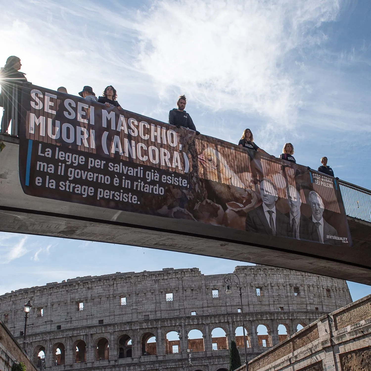 Giornata mondiale delle uova: la nostra azione a Roma per i pulcini maschi