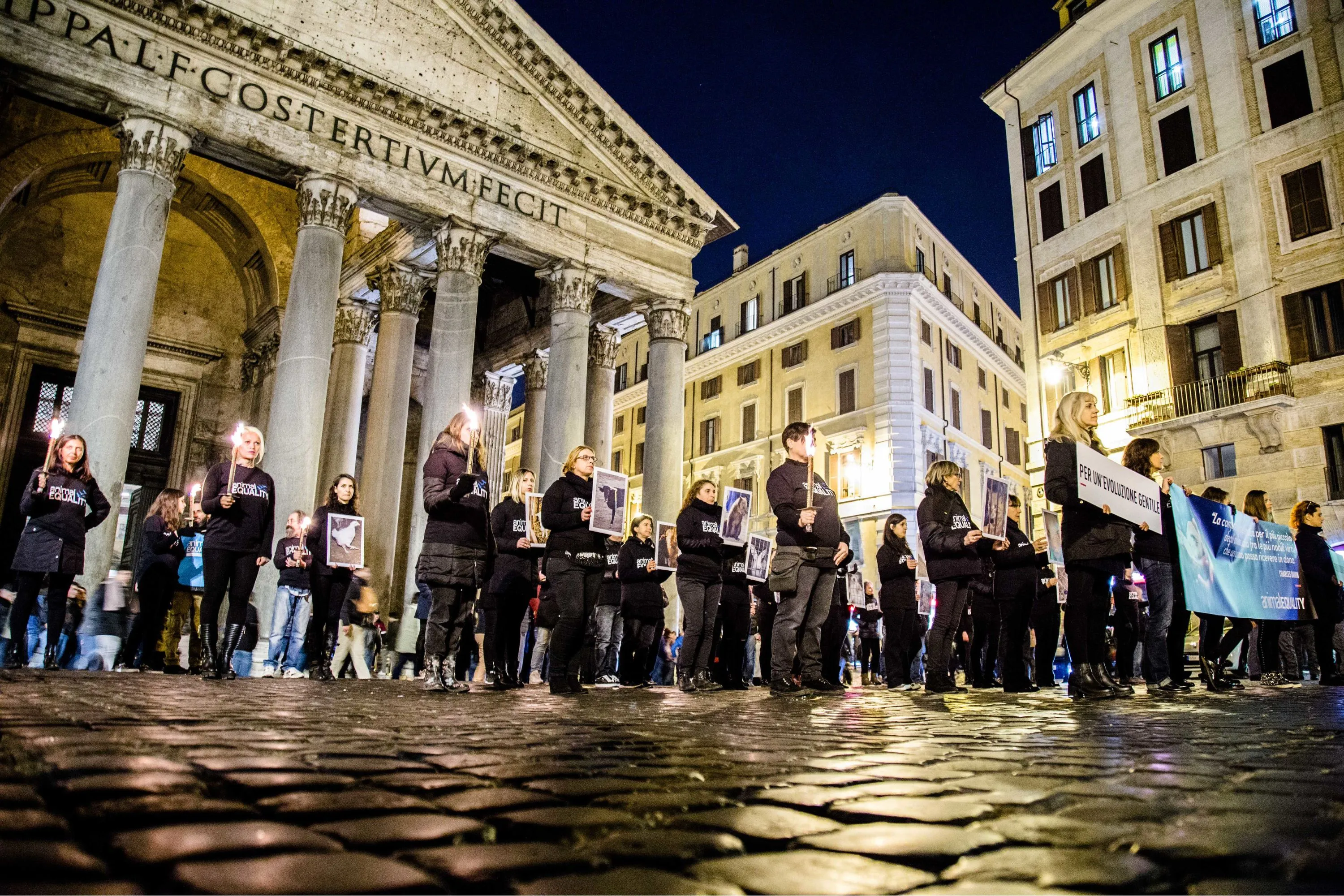 La giornata Internazionale dei Diritti degli Animali 1 iard hero