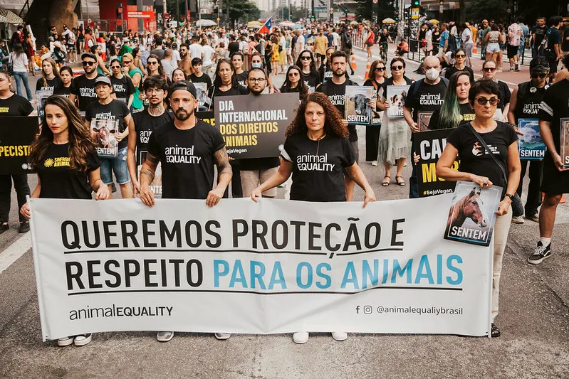 La giornata Internazionale dei Diritti degli Animali 7 iard brasile