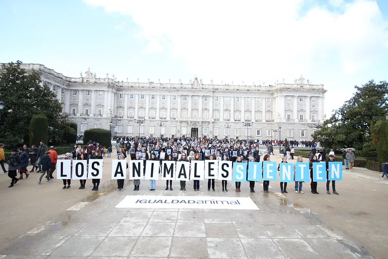 La giornata Internazionale dei Diritti degli Animali 6