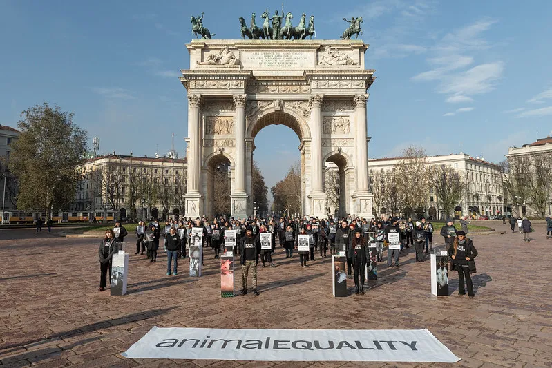 La giornata Internazionale dei Diritti degli Animali 4 iard milano
