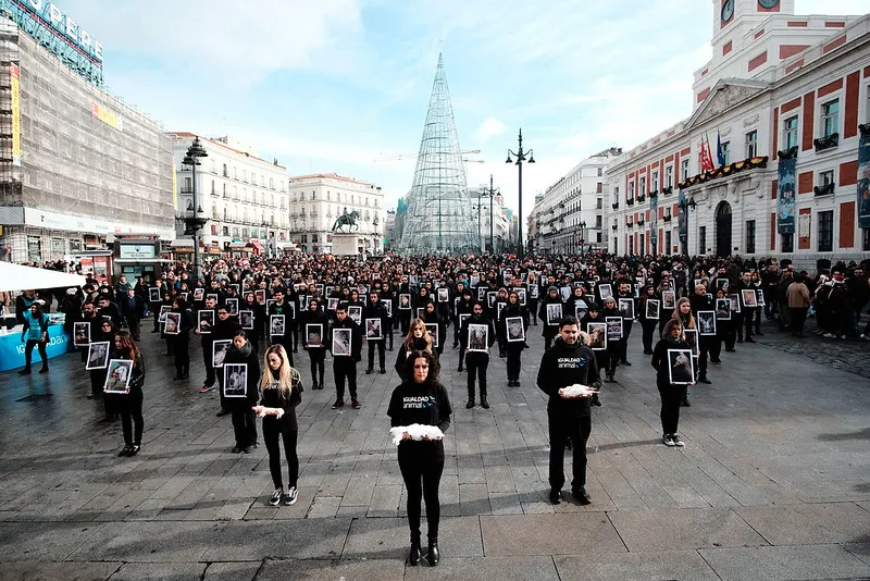 La giornata Internazionale dei Diritti degli Animali 8