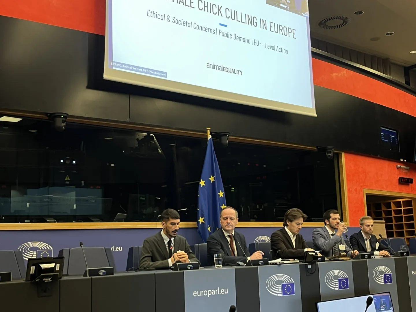 La Commissione UE potrebbe fare marcia indietro per gli animali 8