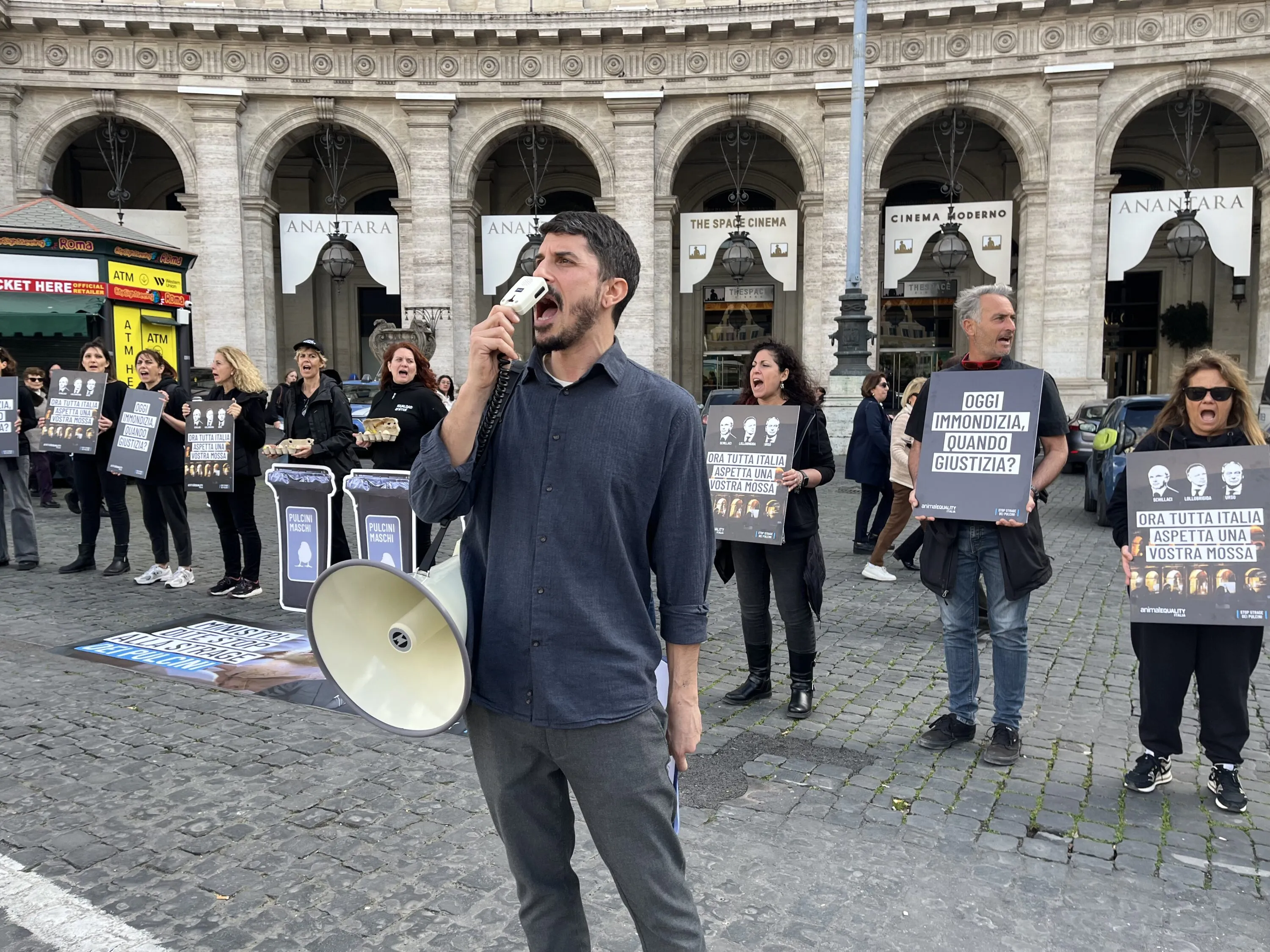 Pubblicate le linee guida per fermare l’uccisione dei pulcini maschi 8