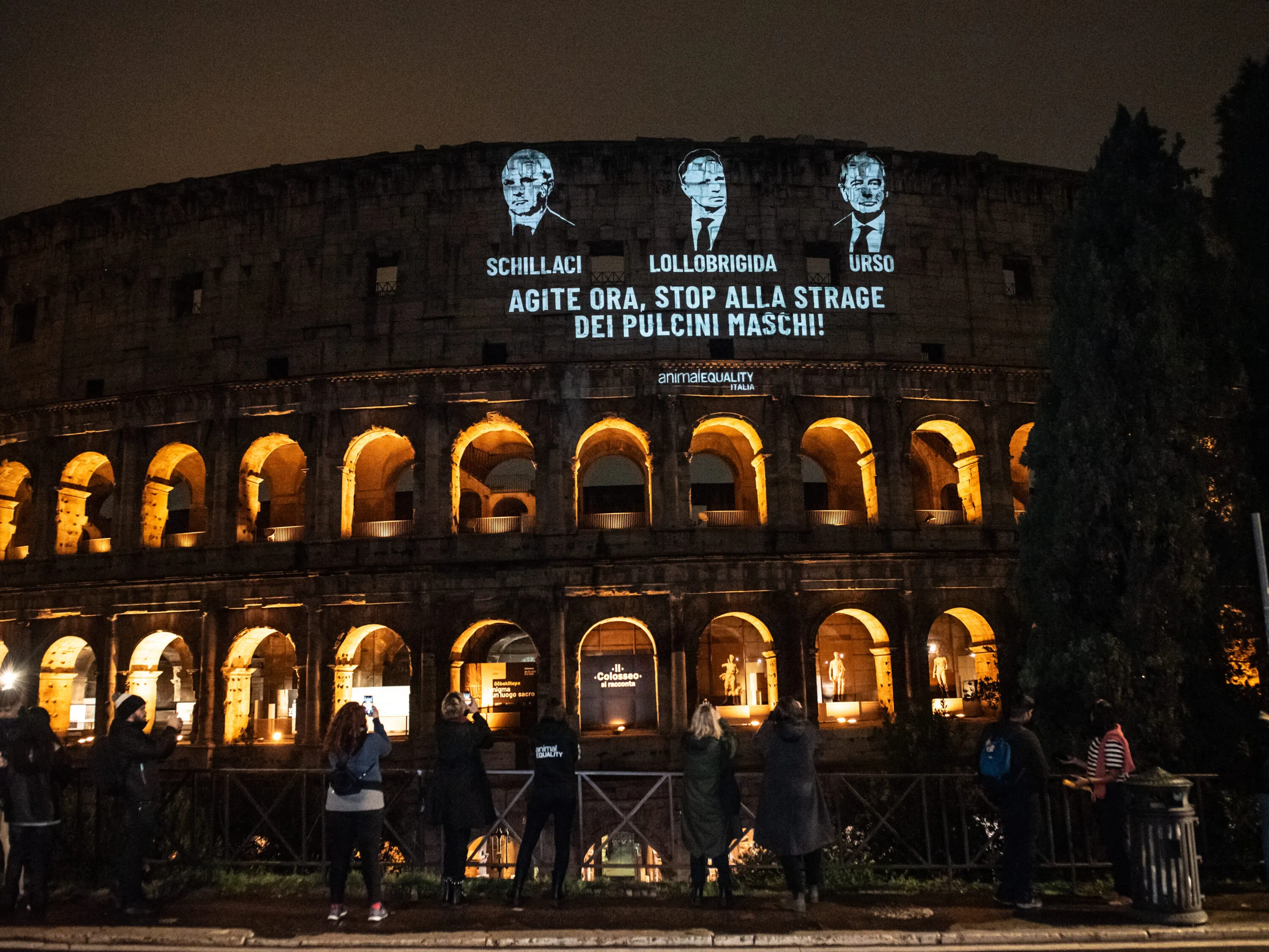 Pubblicate le linee guida per fermare l’uccisione dei pulcini maschi 15