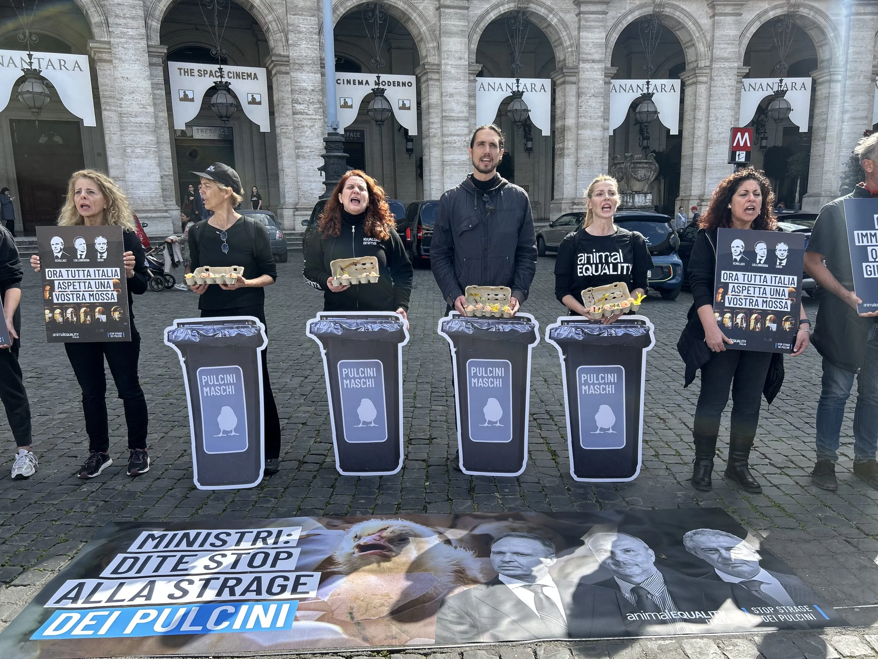 Pubblicate le linee guida per fermare l’uccisione dei pulcini maschi 5