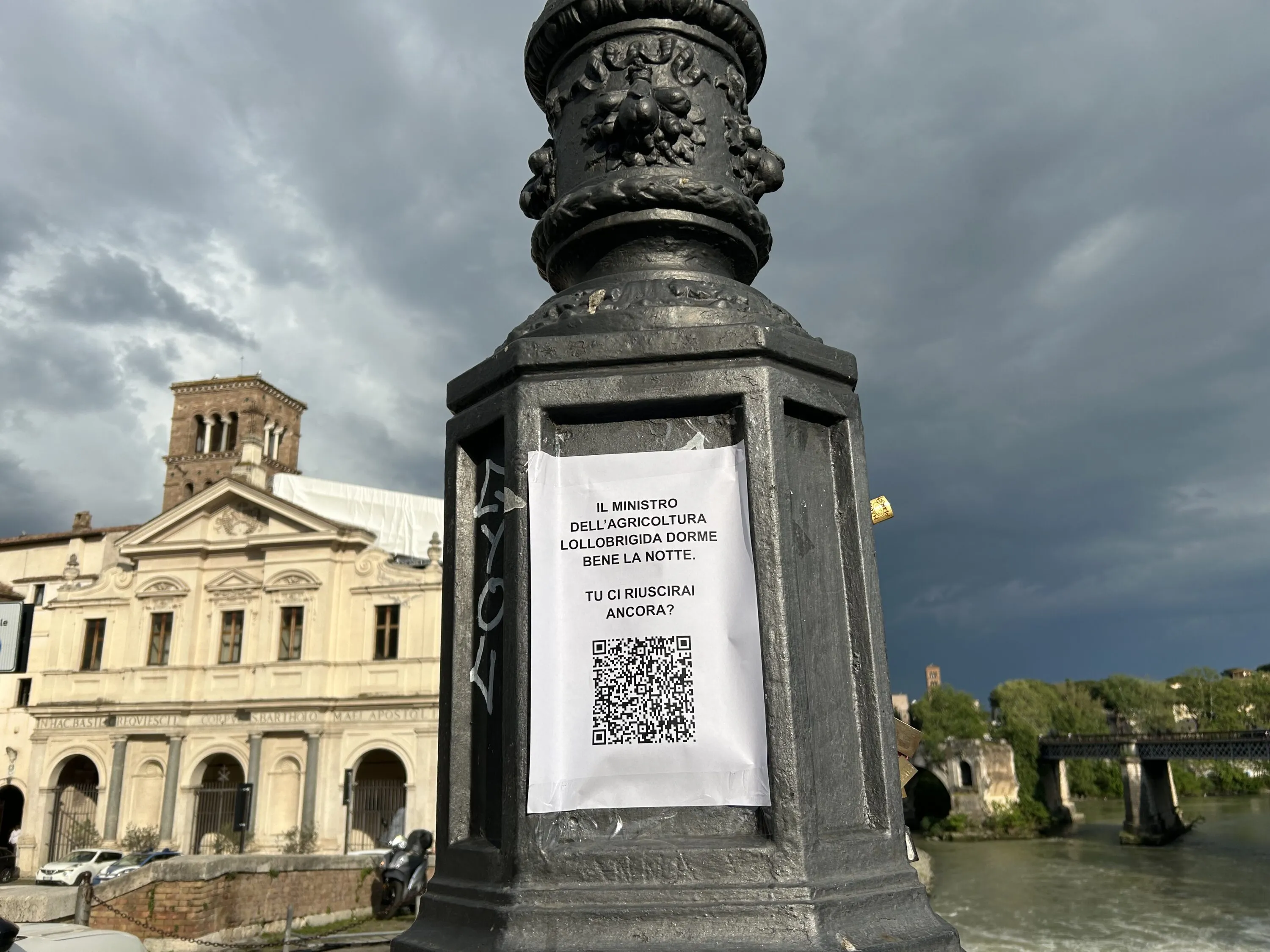 Pubblicate le linee guida per fermare l’uccisione dei pulcini maschi 17