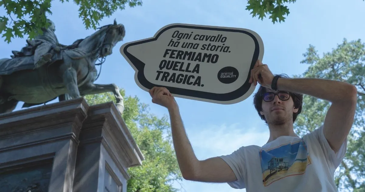 cavalli manifestazione