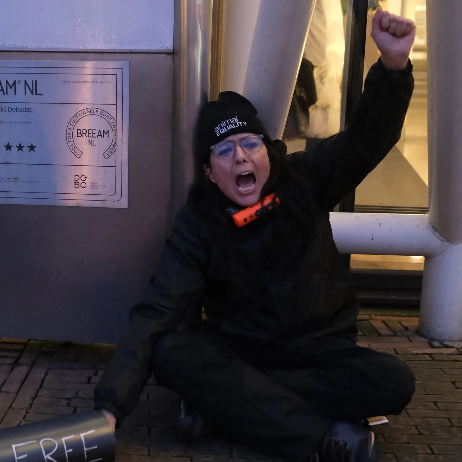 Ci siamo incatenati alla sede centrale di Ahold Delhaize per le galline in gabbia 4 Ci siamo incatenati alla sede centrale di Ahold Delhaize per le galline in gabbia