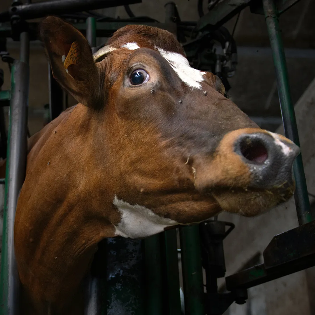 raddoppia il tuo impatto