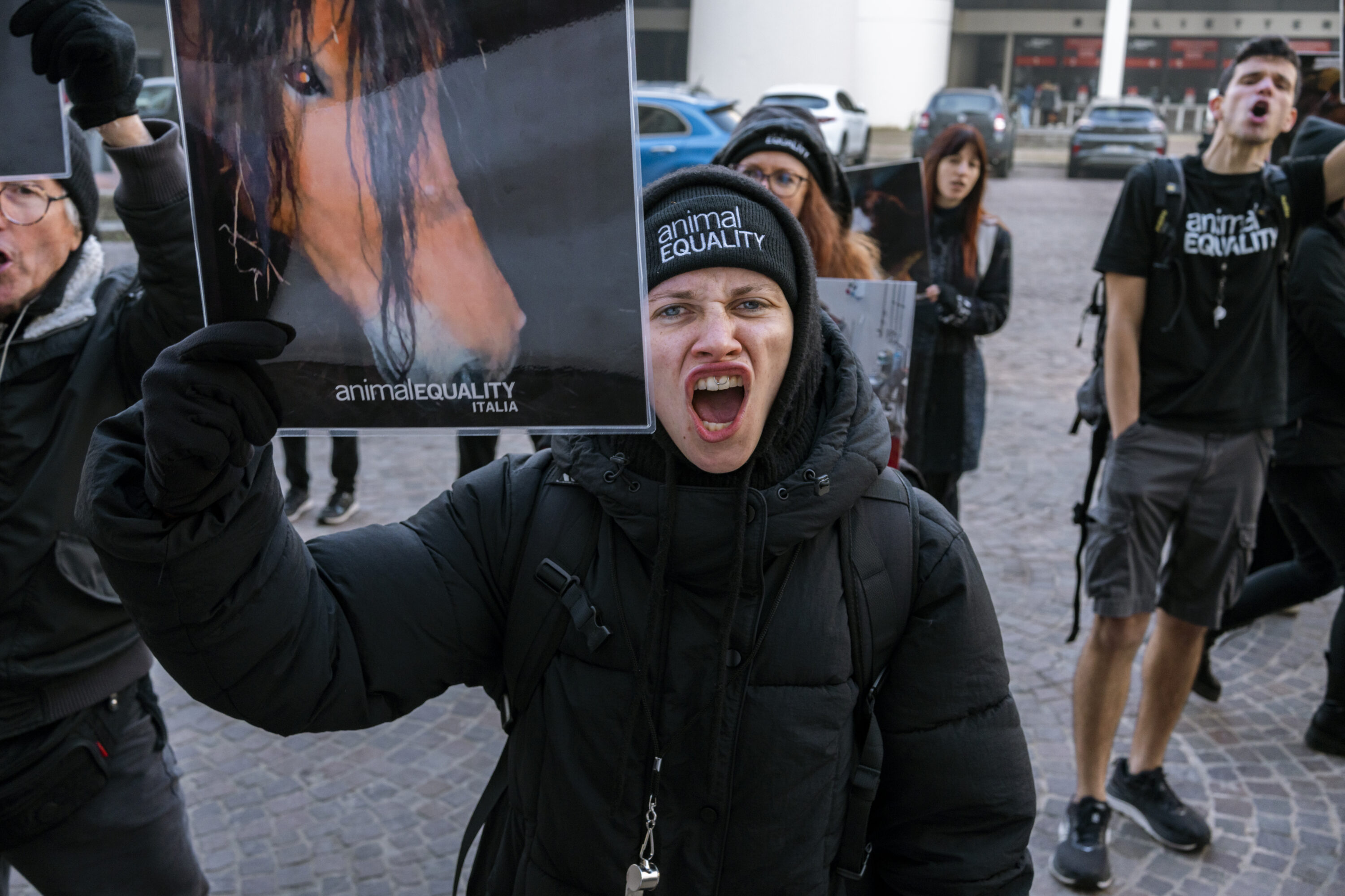 Il macello Zerbini e Ragazzi dichiara: “Il nostro lavoro è in regola”. Ecco perché non è vero 14